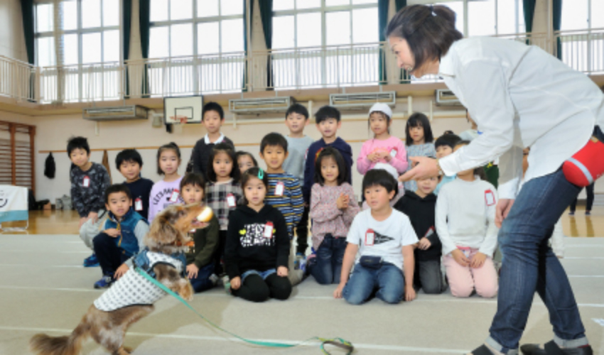 犬の登場･自己紹介･挨拶方法
