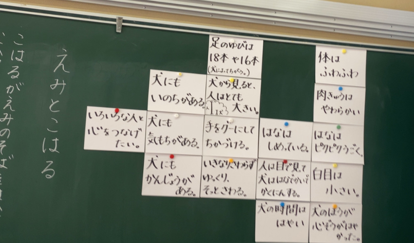 生活科の体験学習の整理