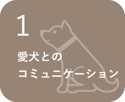 愛犬とのコミュニケーション